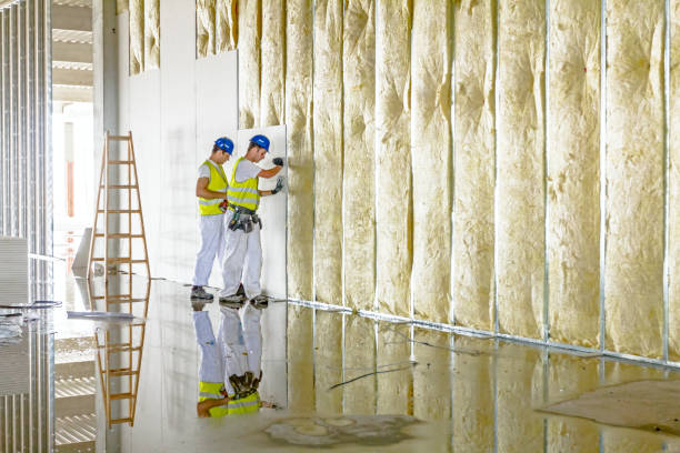 Best Insulation Materials and Products in Creve Coeur, MO